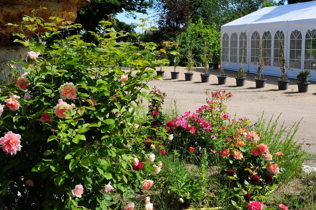 Chateau De La Chaussee Bed and Breakfast Brain-sur-Allonnes Εξωτερικό φωτογραφία