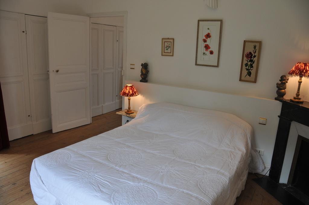 Chateau De La Chaussee Bed and Breakfast Brain-sur-Allonnes Εξωτερικό φωτογραφία